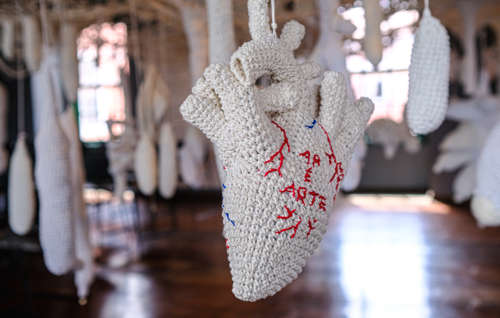 Entre nós- fotografia Larissa Micenas