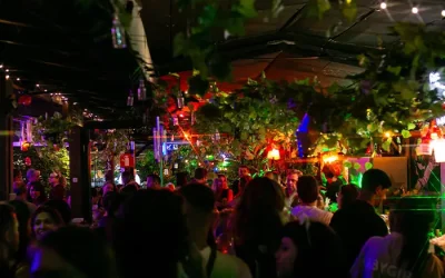 Confraternizações de fim de ano 7