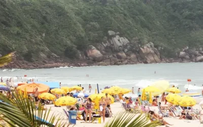Norovírus entenda organismo responsável por virose no litoral de SP