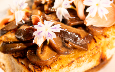 brunch_jardimDSC04726 Vinicius Ladeira - Estudio Grampo